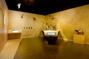 natuurmuseum brabant tilburg 1-2023 6106